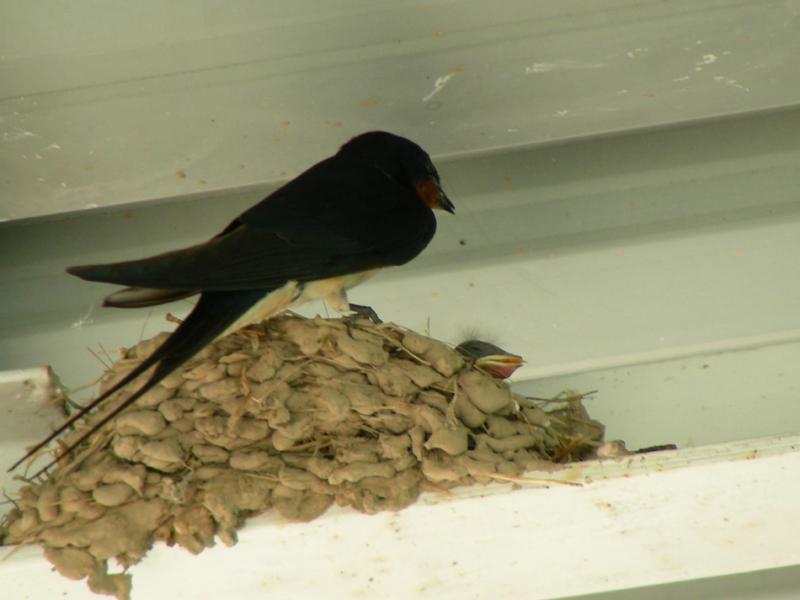 dscn8946.jpg