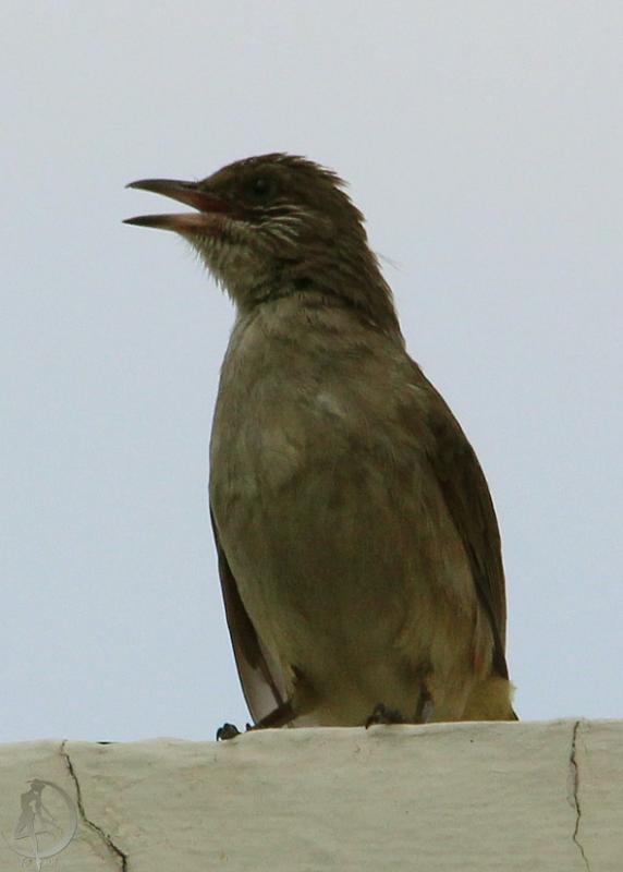 20120227.19.jpg