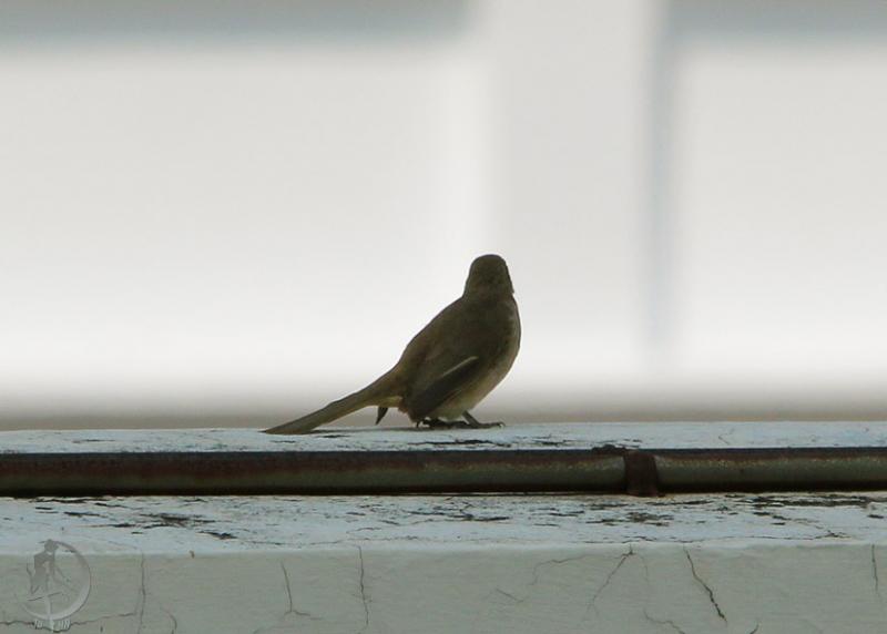 20120227.20.jpg