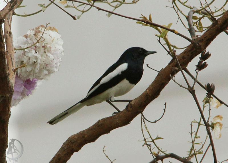 20120227.4.jpg