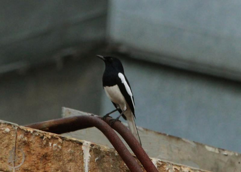 20120227.8.jpg