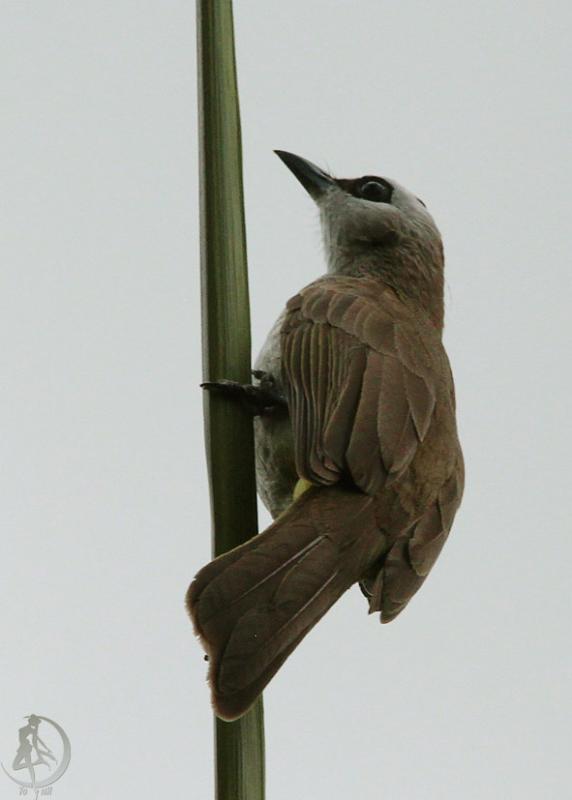 20120228.14.jpg