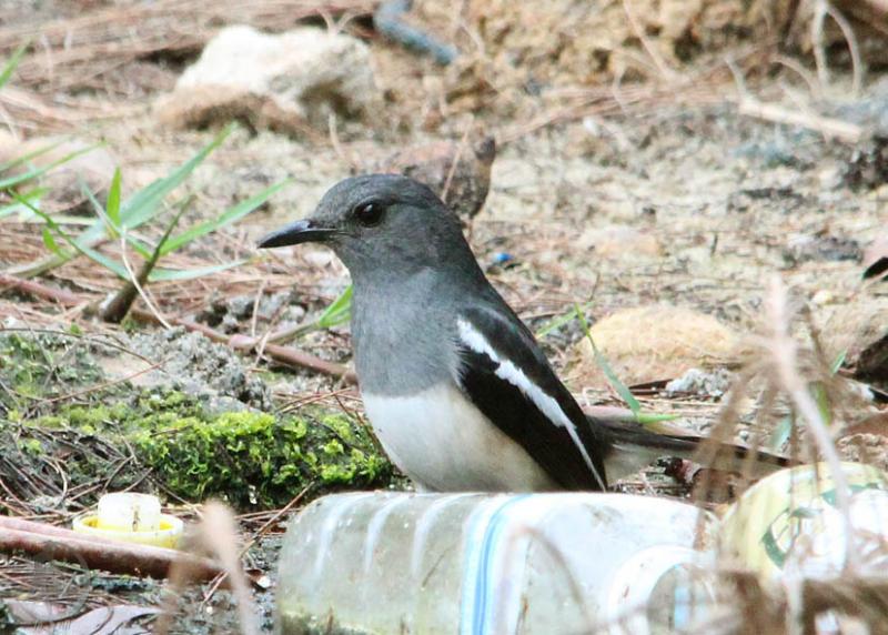 20120229.19.jpg