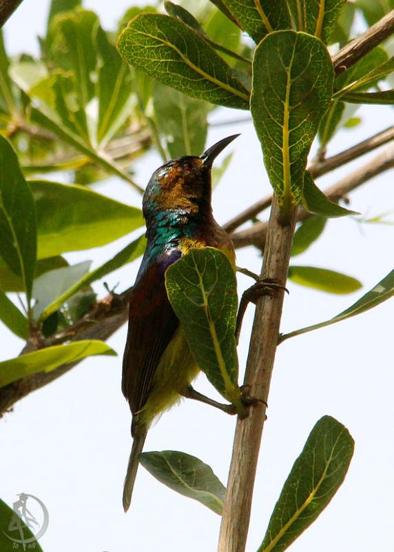 20120302.4.jpg