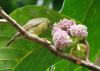 20120305.11_t1.jpg