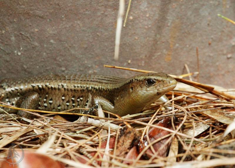 20120306.8.jpg