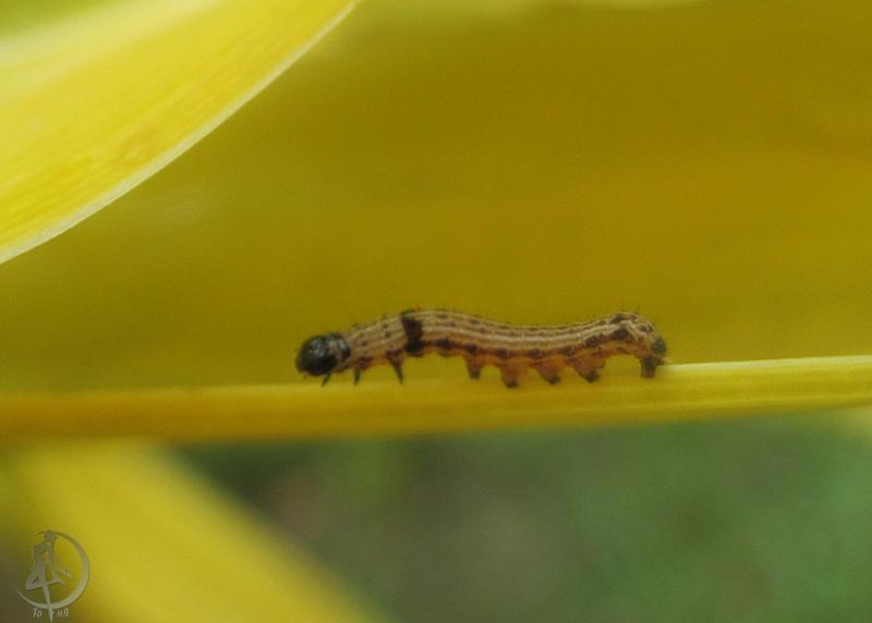 20120229.68.jpg