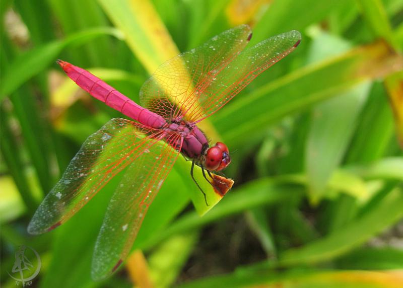 20120229.76.jpg