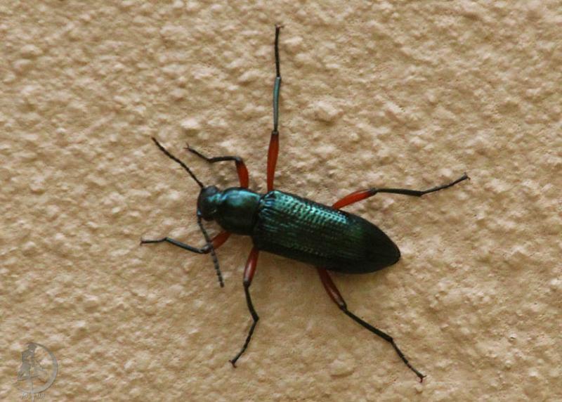 20120301.27.jpg