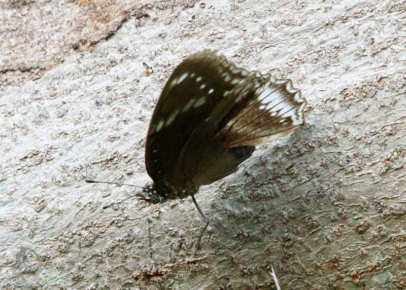 20120301.61.jpg