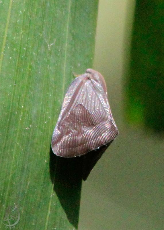 20120302.1.jpg