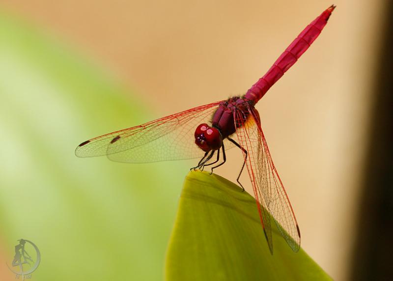 20120304.48.jpg