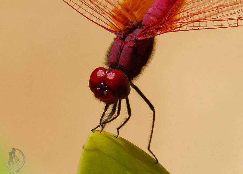 20120304.49.jpg
