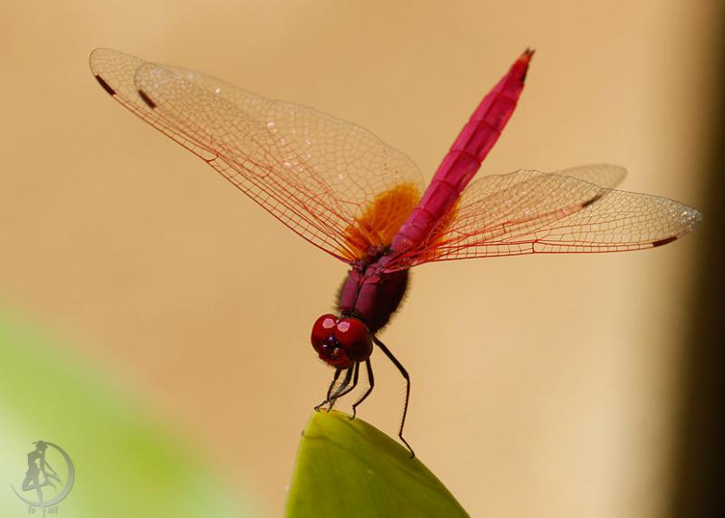 20120304.50.jpg