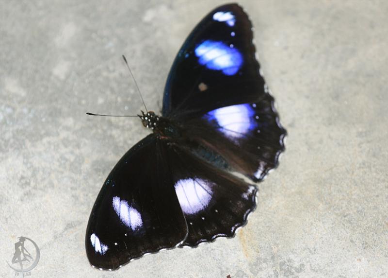 20120306.21.jpg
