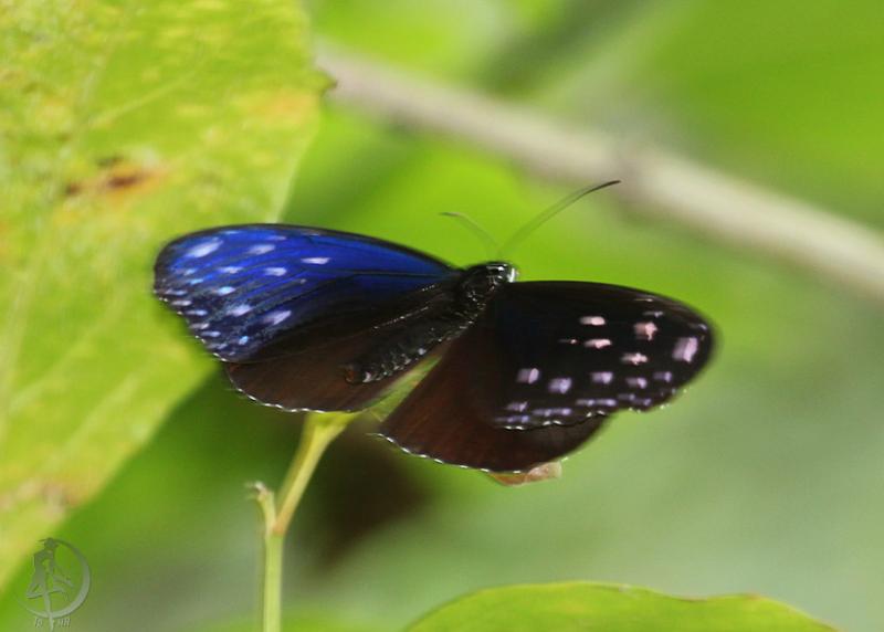 20120306.25.jpg