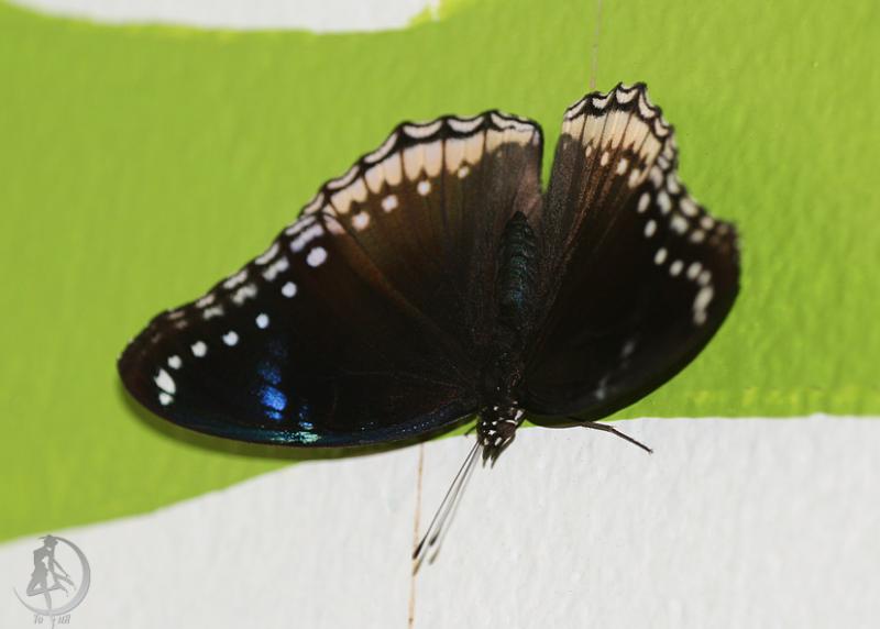 20120306.31.jpg
