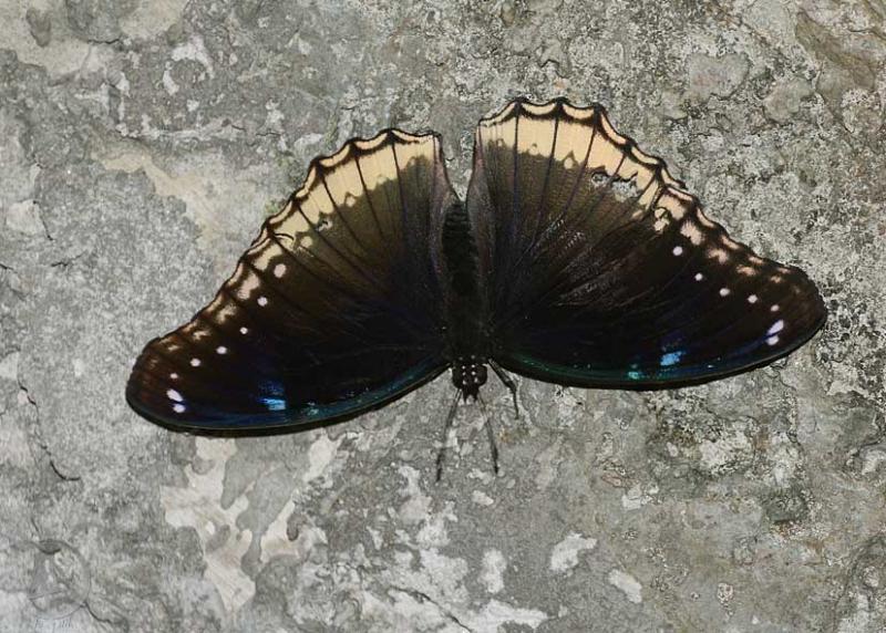 20120306.35.jpg