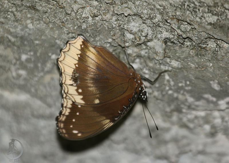 20120306.36.jpg