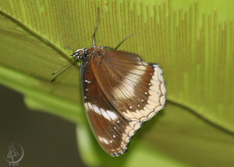 20120306.38.jpg