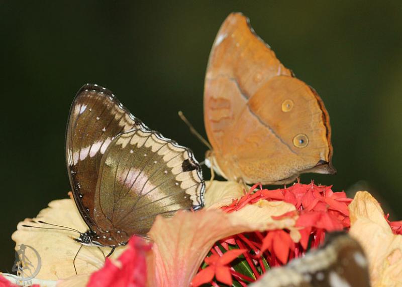 20120306.39.jpg