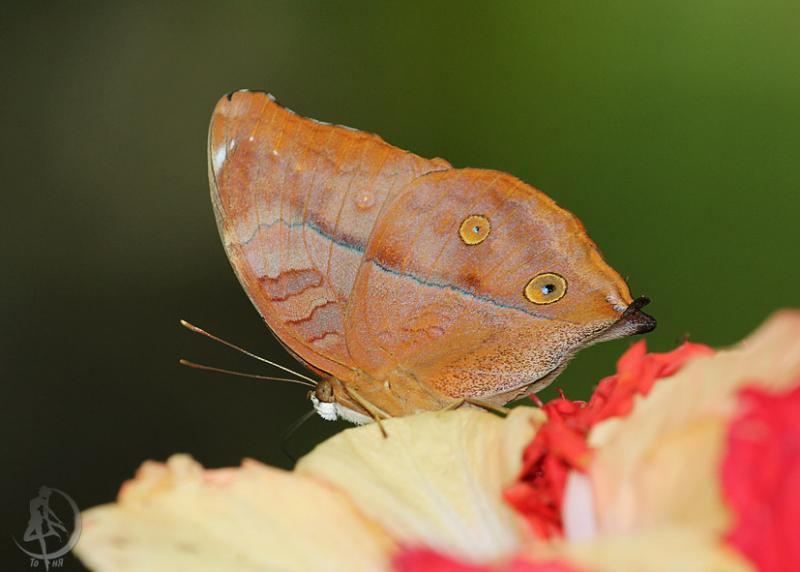 20120306.43.jpg