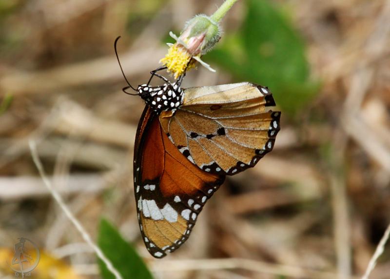 20120307.5.jpg