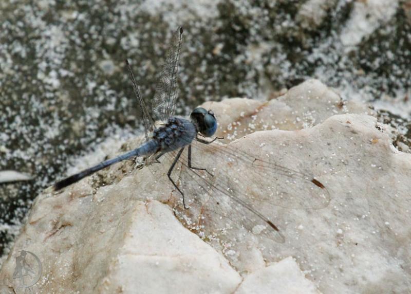 20120307.8.jpg