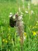 dscn9237_t1.jpg