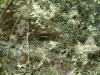 dscn9430_t1.jpg