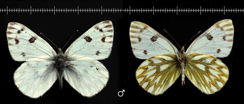 01-1500x640.jpg