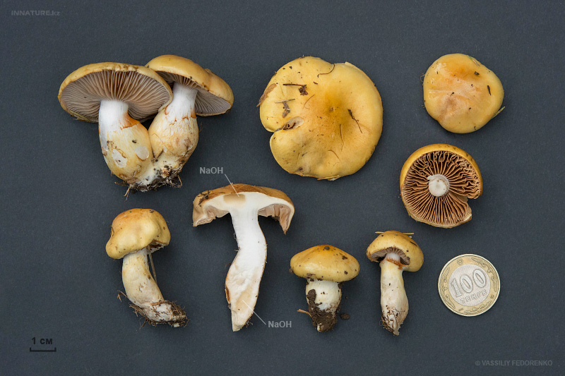 1014092015_2.jpg