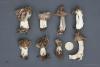 helvella-maculata-03_t1.jpg