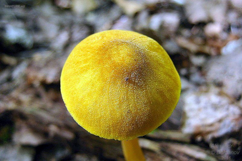 img_3183.jpg