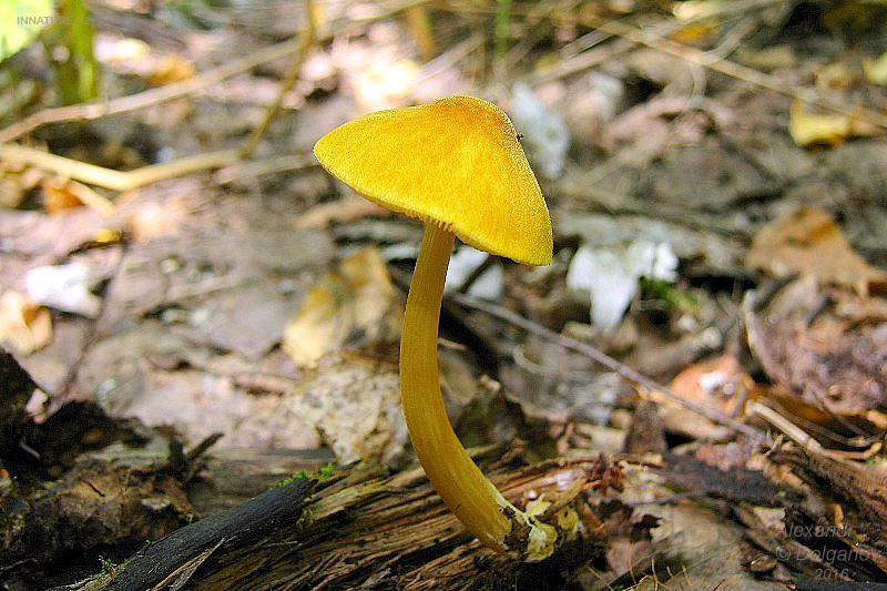 img_3185.jpg