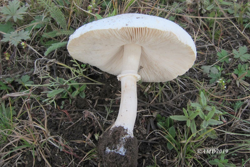img_4360.jpg