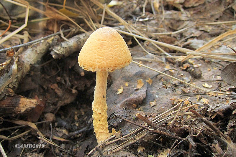 img_4773.jpg