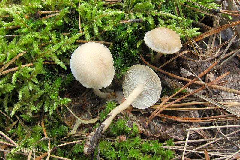 img_5681.jpg