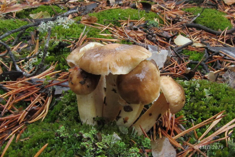 img_6285.jpg