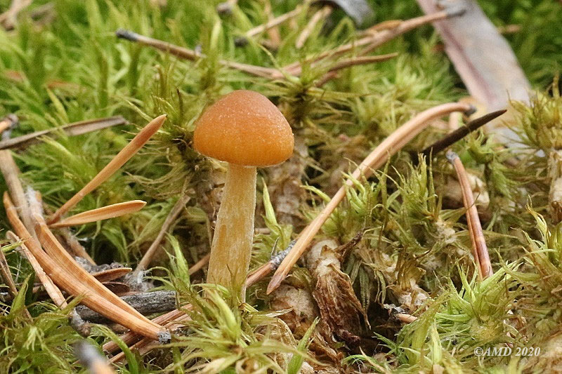 img_0584.jpg
