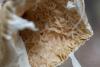 amanita-phalloides_10_t1.jpg