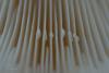 lactarius_17_t1.jpg