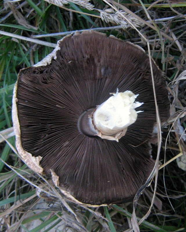 1-2.10.2009-009.jpg