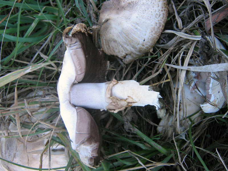 1-2.10.2009-010.jpg