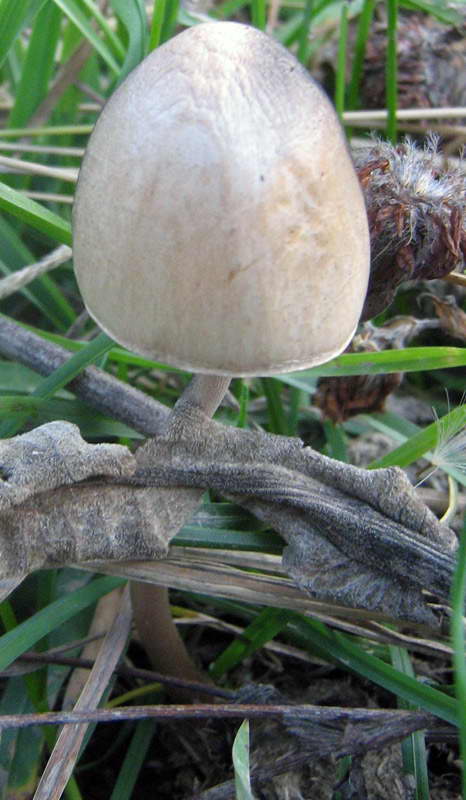 1-2.10.2009-017.jpg