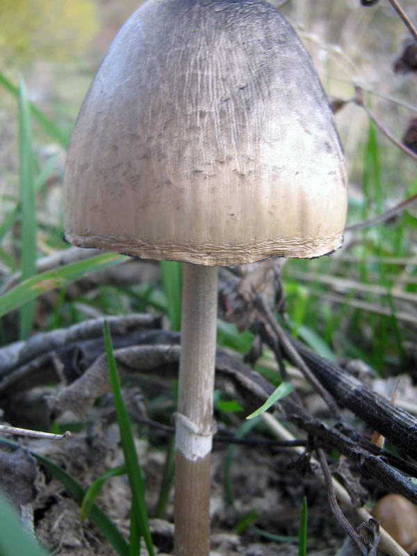 1-2.10.2009-019.jpg