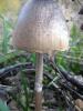 1-2.10.2009-019_t1.jpg