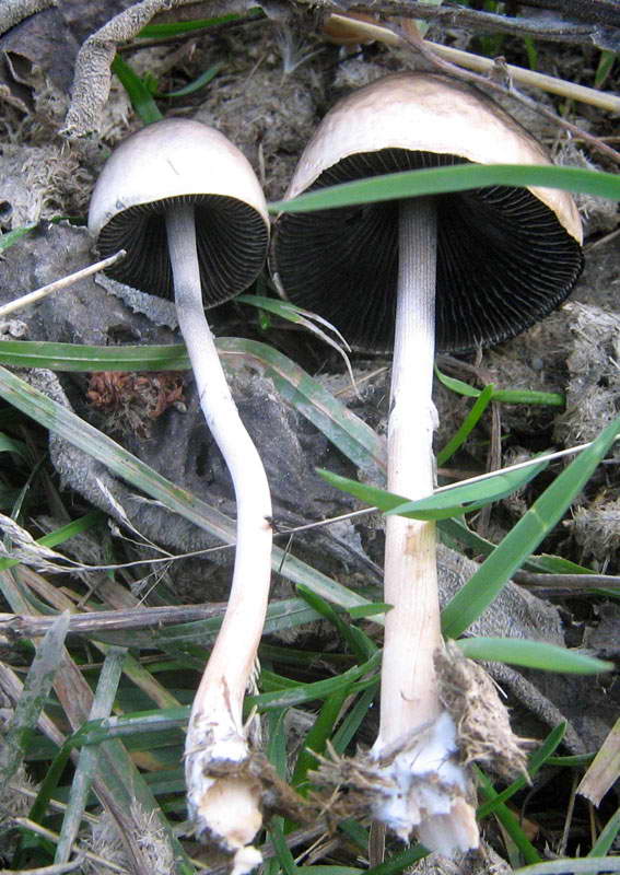 1-2.10.2009-021.jpg