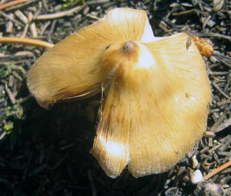 14-16..08.2009-050.jpg