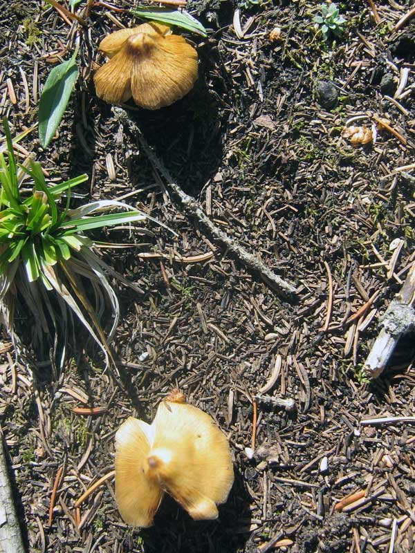 14-16..08.2009-051.jpg